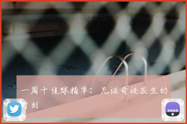 一周十佳球精华:见证奇迹发生的时刻