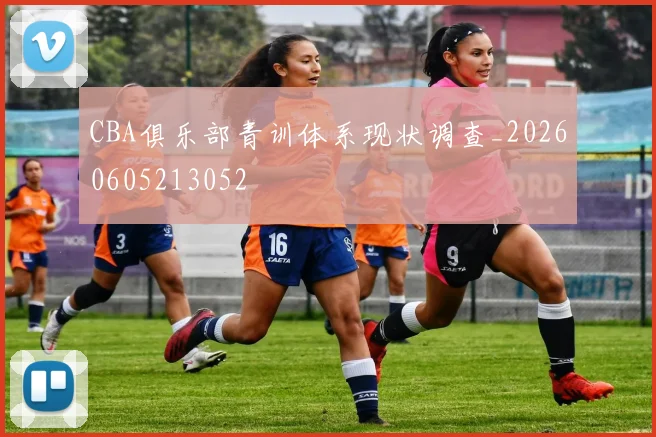 CBA俱乐部青训体系现状调查_20260605213052